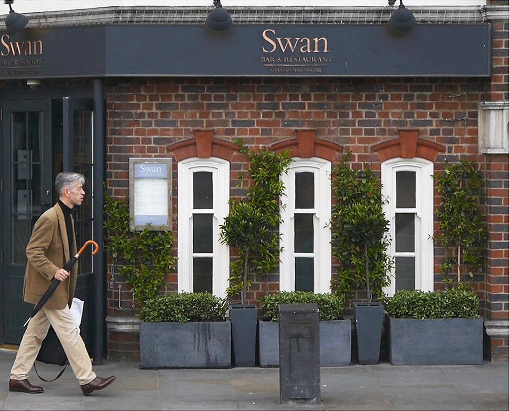 Swan